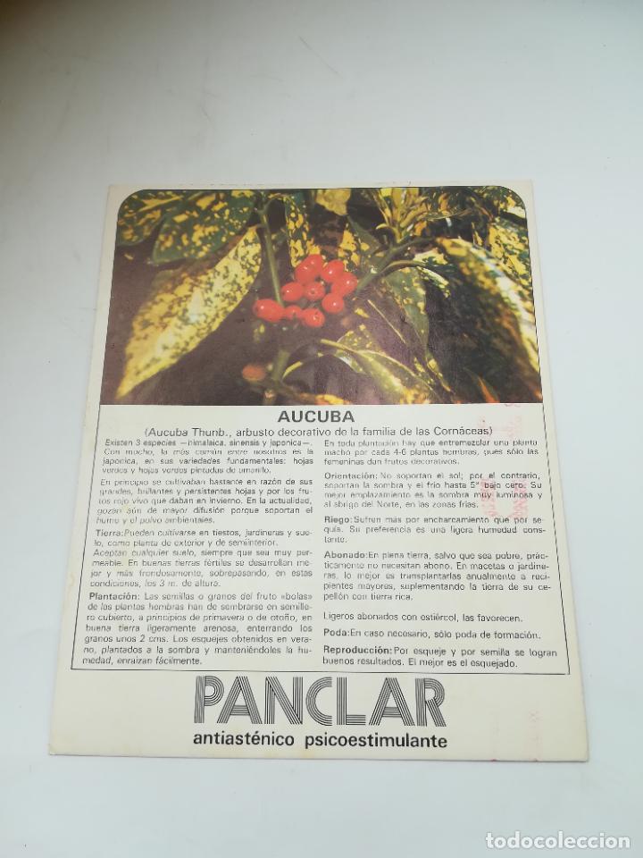 Werbekataloge: FICHA PUBLICITARIA FARMACIA. PLANCAR ANTIASTENICO PSICOESTIMULANTE. PLANTA AUCUBA. VER DORSO