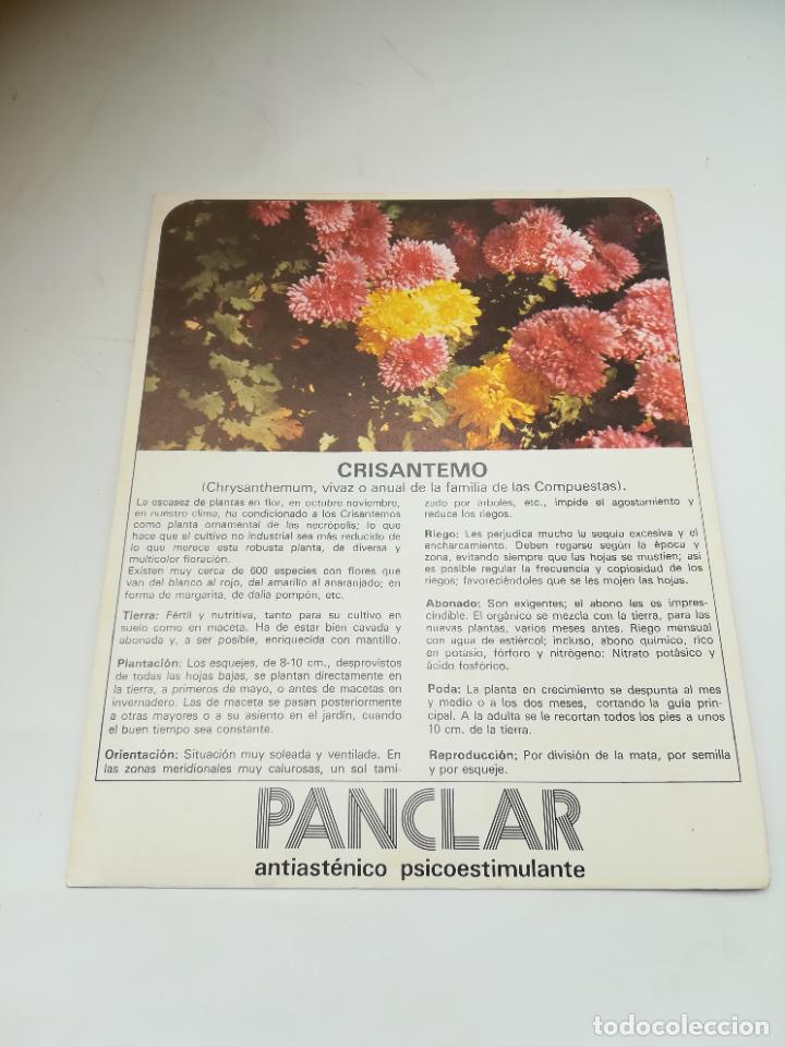 Werbekataloge: FICHA PUBLICITARIA FARMACIA. PLANCAR ANTIASTENICO PSICOESTIMULANTE. PLANTA CRISANTEMO. VER DORSO