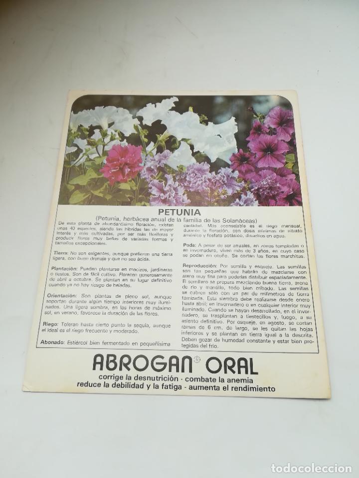 Werbekataloge: FICHA PUBLICITARIA FARMACIA. ABROGAN ORAL. PLANTA PETUNIA. VER DORSO