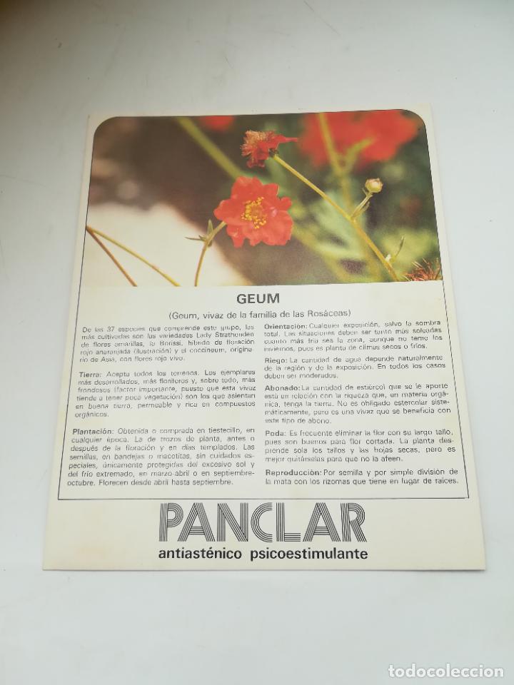 Werbekataloge: FICHA PUBLICITARIA FARMACIA. ABROGAN ORAL. PLANTA GEUM. VER DORSO