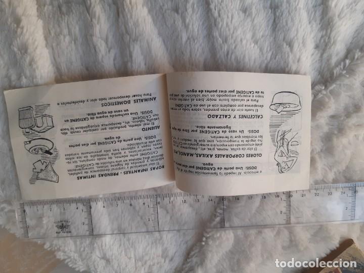 Cat&aacute;logos publicitarios: Quimicamps - Catigene - Foto 2