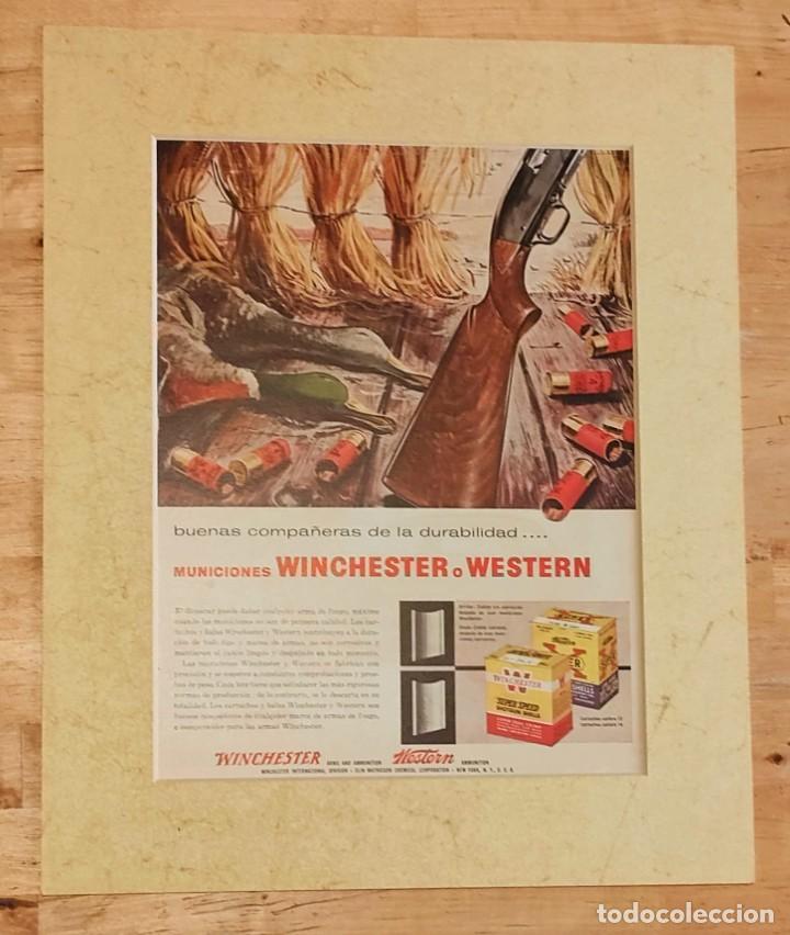 Cat&aacute;logos publicitarios: MUNICIONES WINCHESTER O WESTERN PUBLICIDAD ANTIGUA CAZA. RECORTE DE REVISTA ANTIGUA CON PASPART&Uacute;.