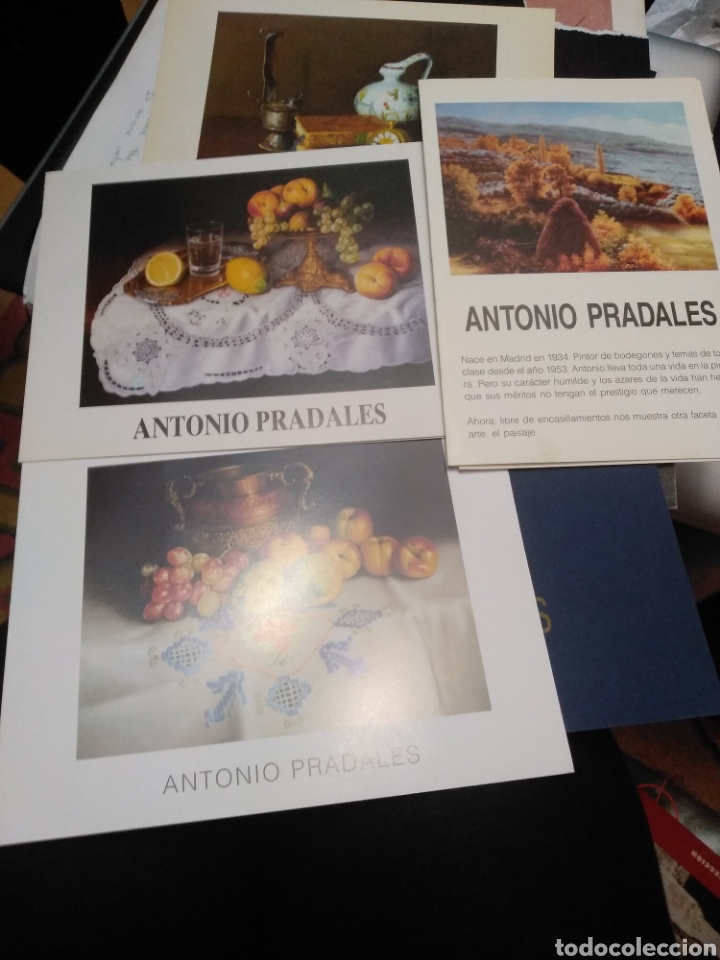 Cat&aacute;logos publicitarios: PRADALES ,TRIPTICOS EXPOSICIONES