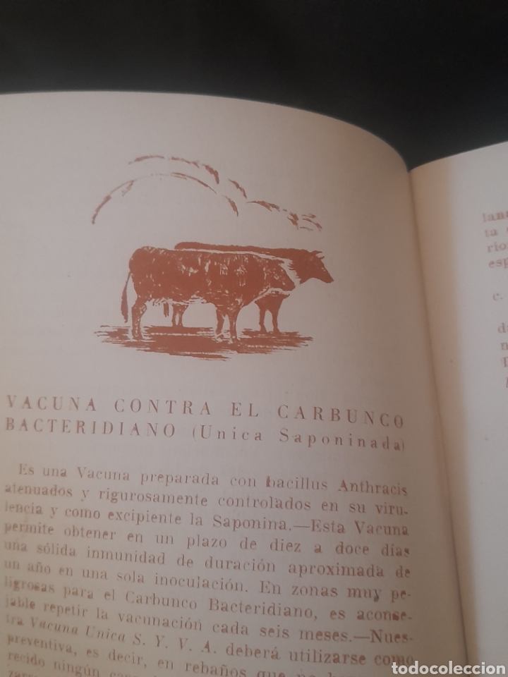 Cat&aacute;logos publicitarios: Antiguo cat&aacute;logo Laboratorio S. Y. V. A,, Le&oacute;n - Foto 4