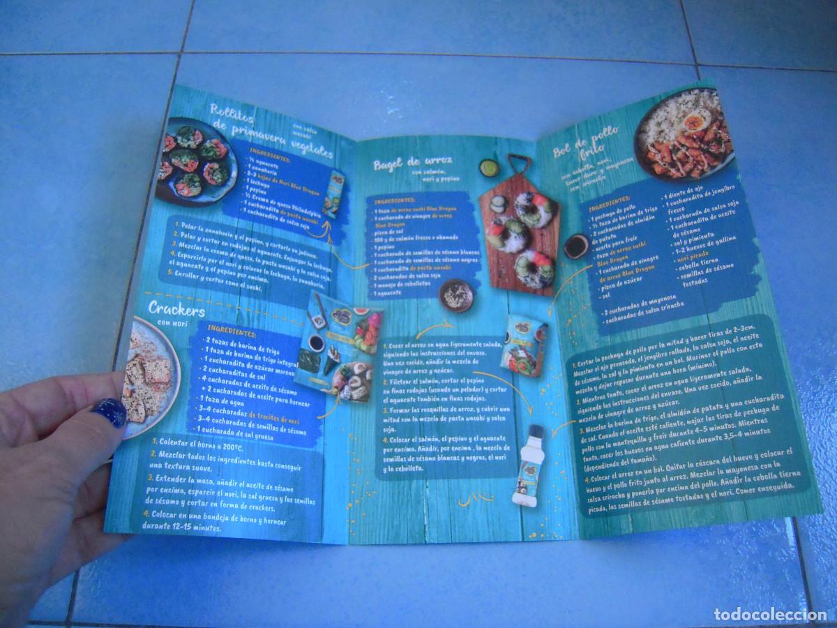 Cat&aacute;logos publicitarios: Folleto Blue Dragon - Foto 4