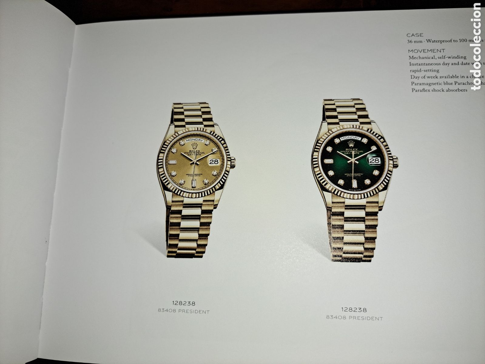 Cat&aacute;logos publicitarios: CAT&Aacute;LOGO ROLEX 2021 - 2022 - Foto 5