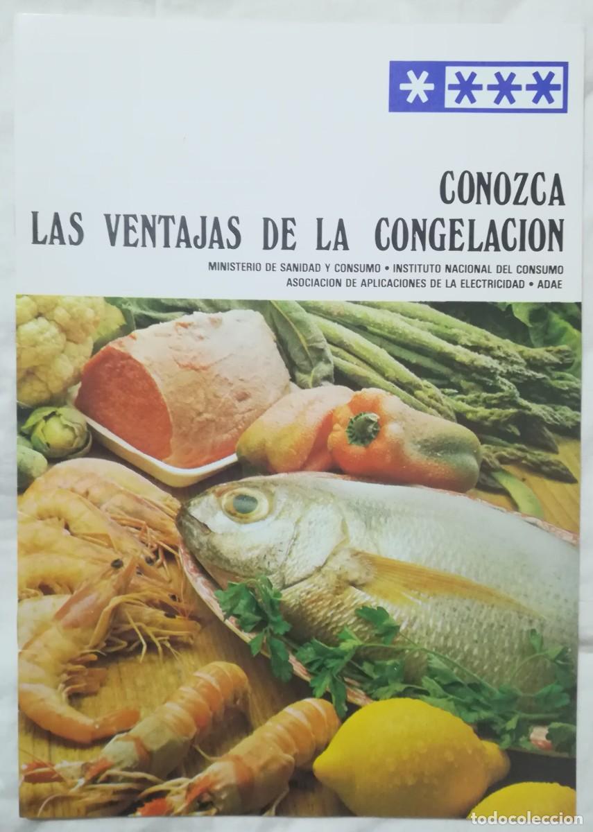 Werbekataloge: CONOZCA LAS VENTAJAS DE LA CONGELACI&Oacute;N - 1983 - MINIS. SANIDAD Y OTRAS INSTITUCIONES - TG