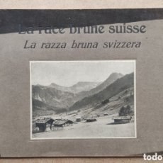 Catálogos publicitarios: GANADO VACUNO GANADERÍA CATALOGUE VACHE BOVIN LA RACE BRUNE SUISSE C. 1920