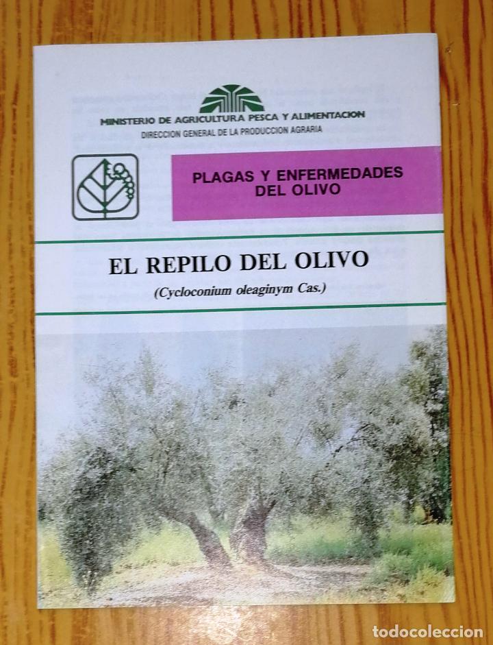 Cat&aacute;logos publicit&aacute;rios: EL REPILO DEL OLIVO (Cyclonium oleaginym Cas.) / Grupo de Trabajo del Olivo. - 1990