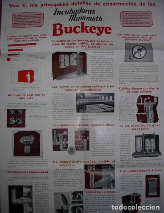 Cat&aacute;logos publicit&aacute;rios: Cat&aacute;logo publicidad incubadoras Mammoth Buckeye Arenys Mar, Barcelona