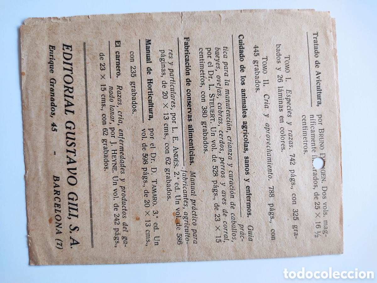 Cat&aacute;logos publicitarios: antiguo programa la bodega moderna E Naval Romano - Foto 2