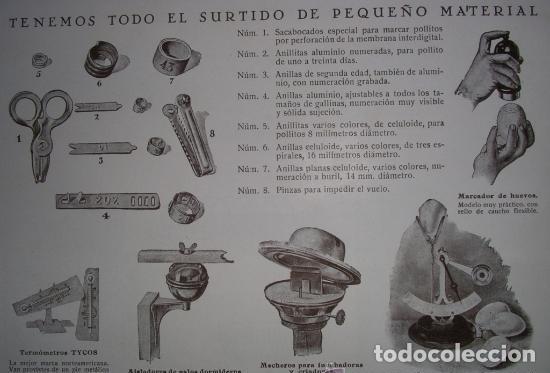 Cat&aacute;logos publicit&aacute;rios: Cat&aacute;logo Antiguo. Granja Av&iacute;cola Experimental. Madrid. 1930