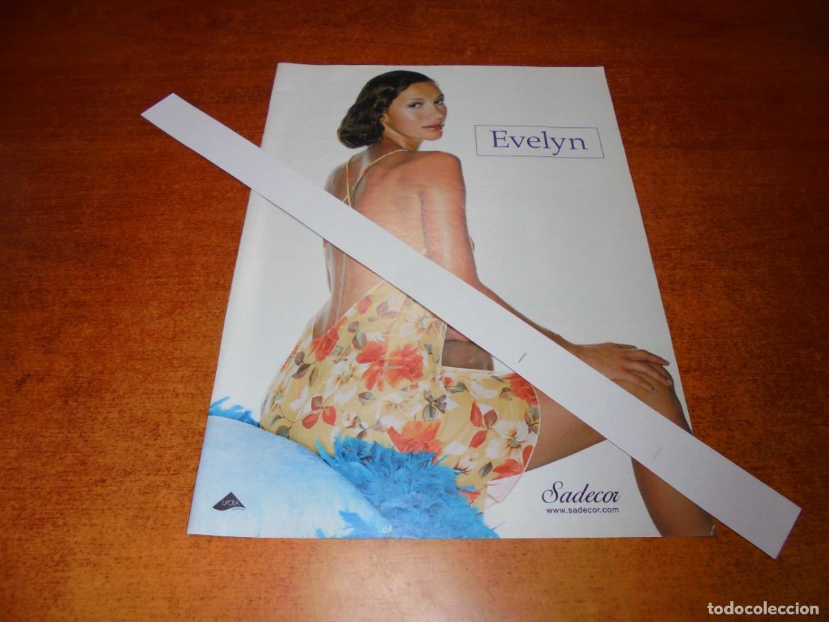 Advertising Catalogs: PUBLICIDAD 2003: EVELYN, SADECOR.