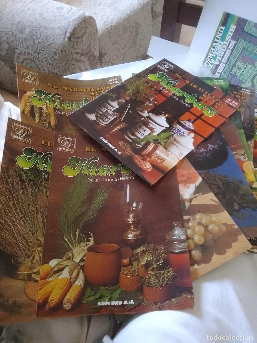 Werbekataloge: El maravilloso mundo de las hierbas ediciones editors,lote de portadas