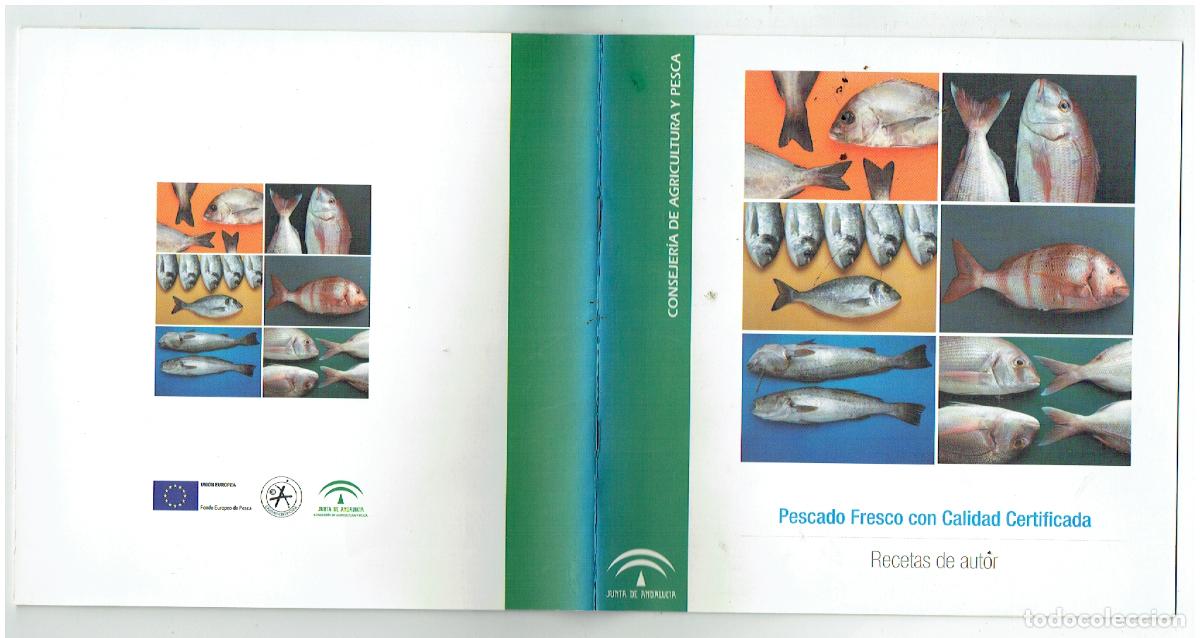 Catalogues publicitaires: PESCADO FRESCO CON CALIDAD CERTIFICADA. RECETAS DE AUTOR. &Aacute;NGEL LE&Oacute;N.JUNTA DE ANDALUC&Iacute;A, (ST/MG/16)