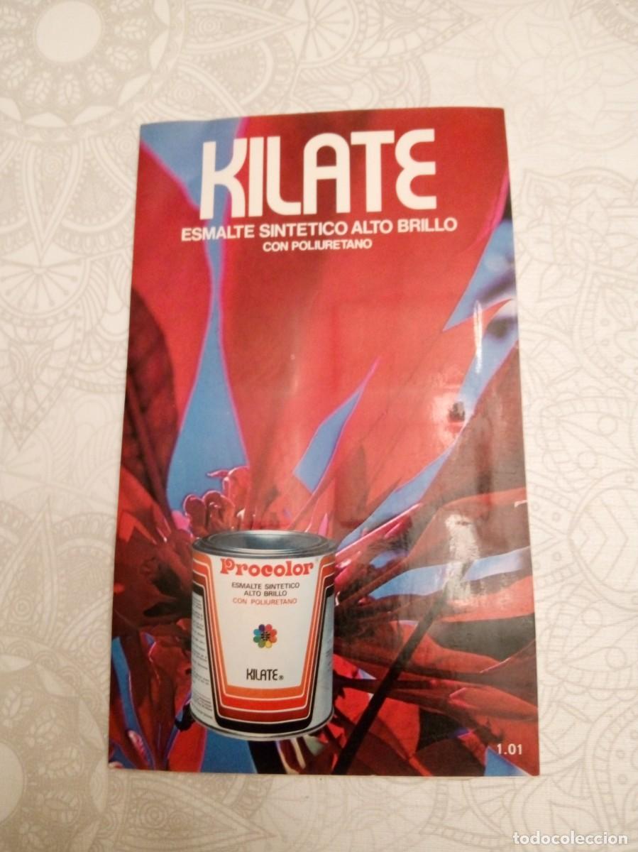 Advertising Catalogs: Catalogo Lilate Esmalte Sintetico