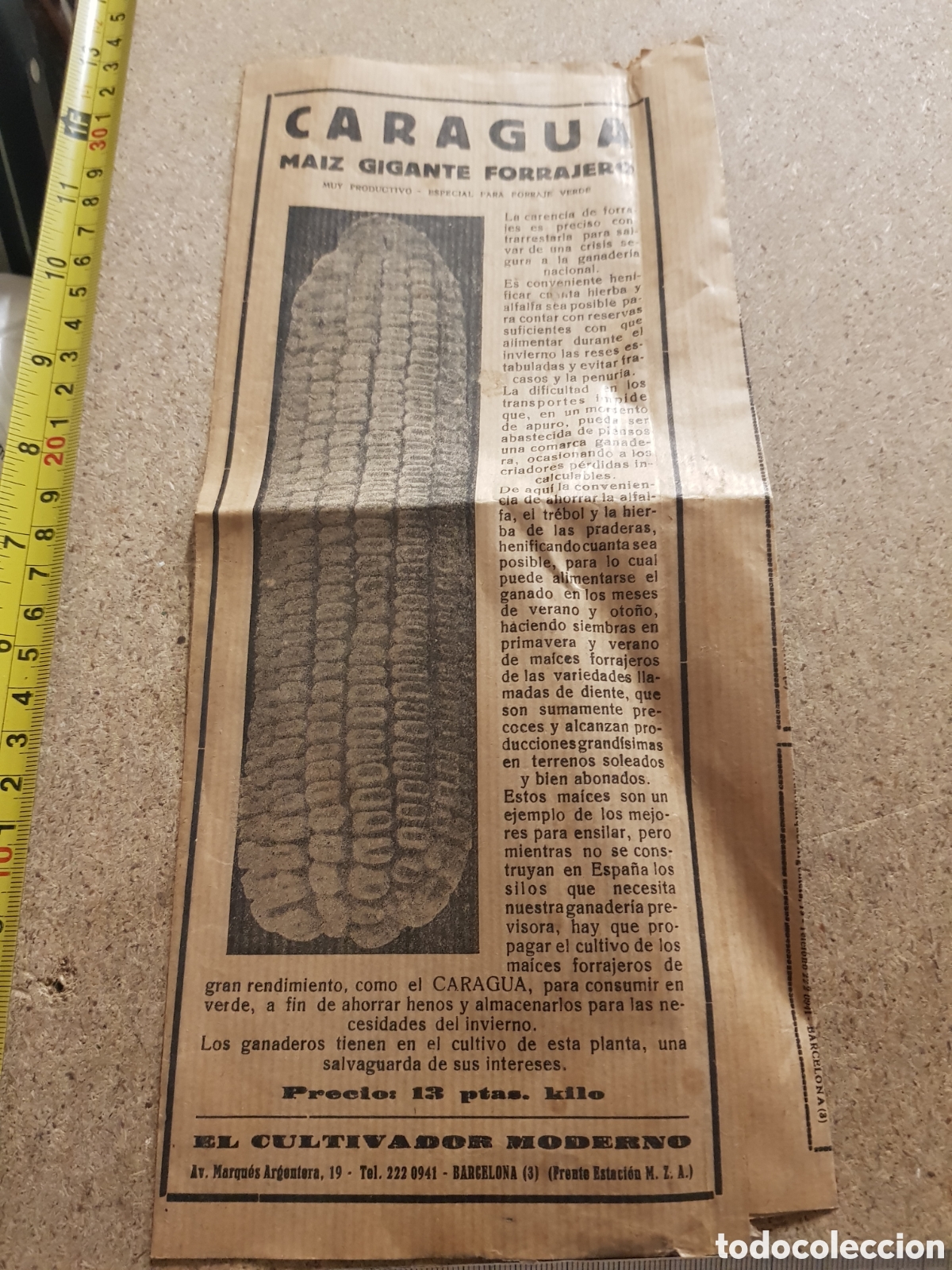 Werbekataloge: Publicidad de Maiz Caragua Maiz Gigante El Cultivador Moderno