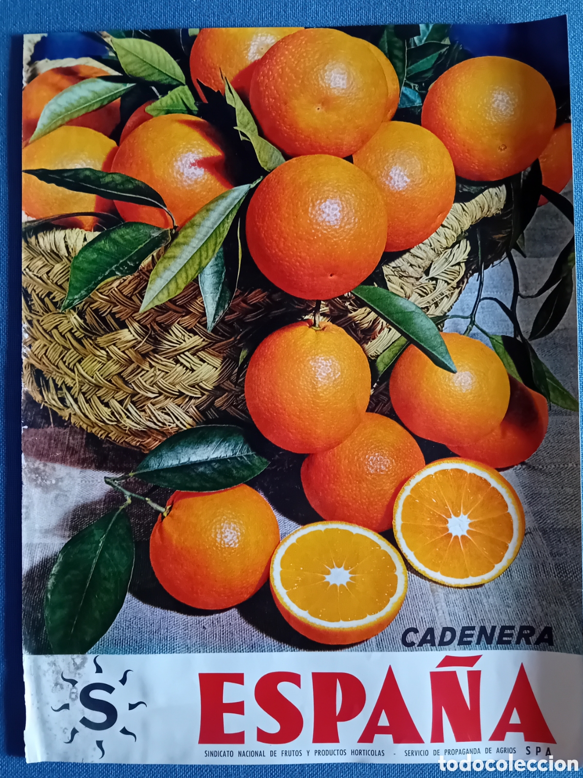 Werbekataloge: Cartel naranja Cadenera producto agr&iacute;cola de espa&ntilde;a a&ntilde;os 70-80
