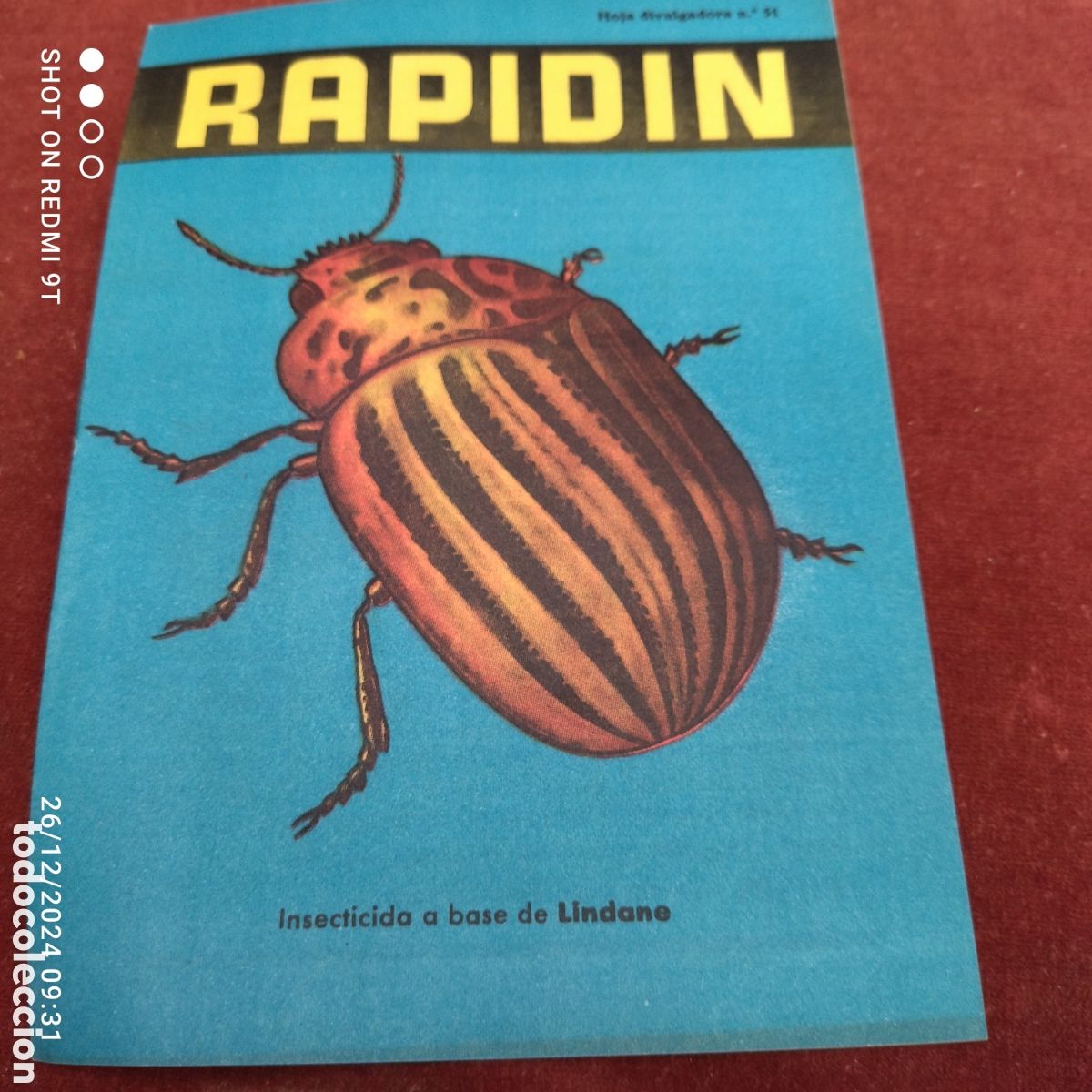 Cat&aacute;logos publicitarios: Rapidin insecticida a base de lindane - Foto 1