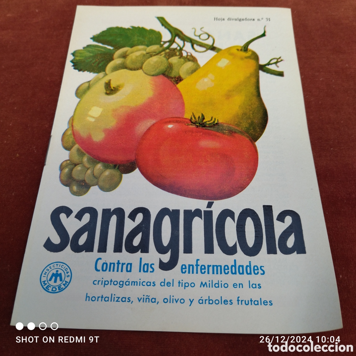 Werbekataloge: Sanagricola contra mildio vi&ntilde;a olivo hortalizas 1966