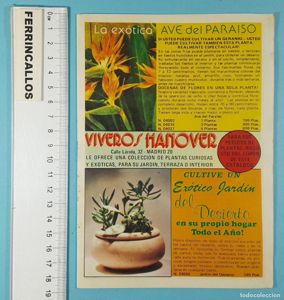 Werbekataloge: CAT&Aacute;LOGO DE VENTA POR CORREO DE FLORES Y PLANTAS VIVEROS HANOVER 16 P&Aacute;G 1975, HANNOVER