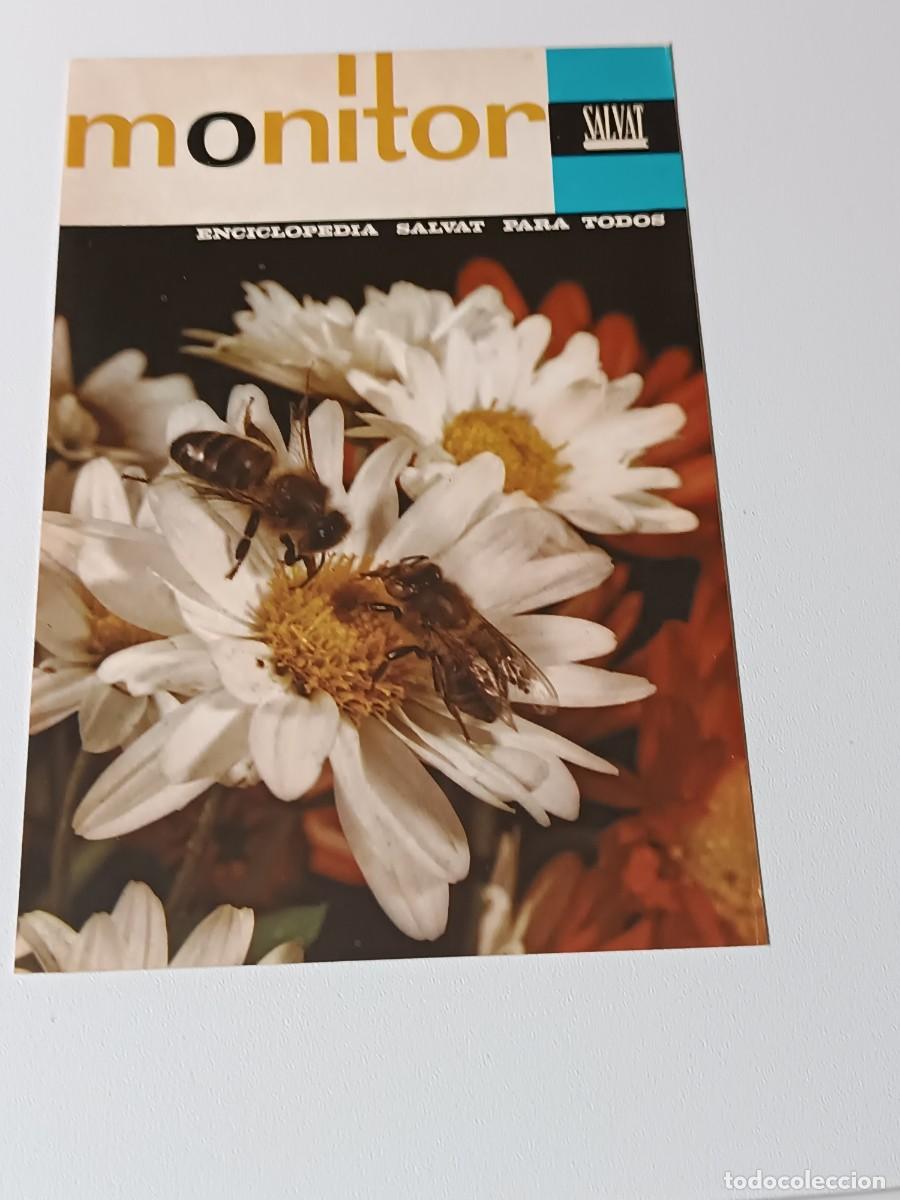 Cataloghi pubblicitari: PANFLETO PUBLICITARIO FASCILUDOS