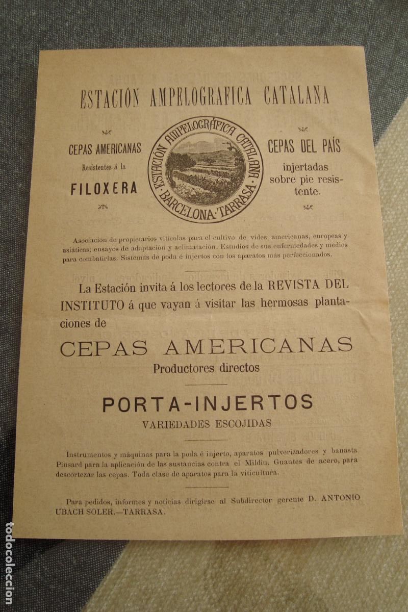 Advertising Catalogs: ANTIGUA PUBLICIDAD ESTACION AMPELOGRAFICA CATALANA TARRASA. ANTONIO UBACH SOLER - DALMAU FAURA