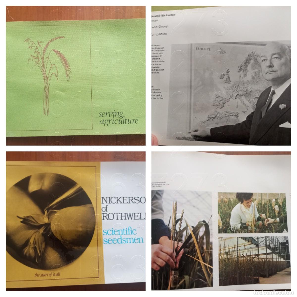 Cat&aacute;logos publicitarios: SEMILLAS AGRICULTURA NICKERSONS OF ROTHWELL CATALOGO FOLLETO PUBLICITARIO 24PG 30CM W7