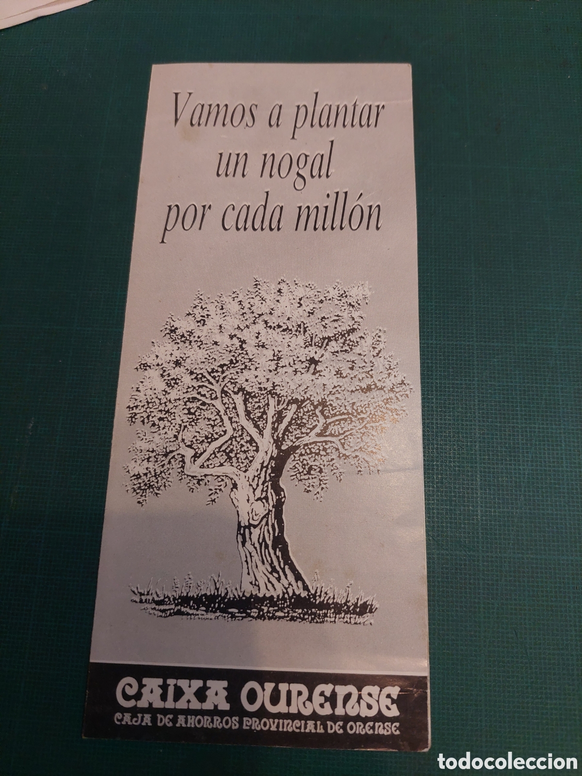 Cataloghi pubblicitari: VAIXA OURENSE VANOS PLANTAR UN NOGAL INTRUCCIONES PUBLICIDAD