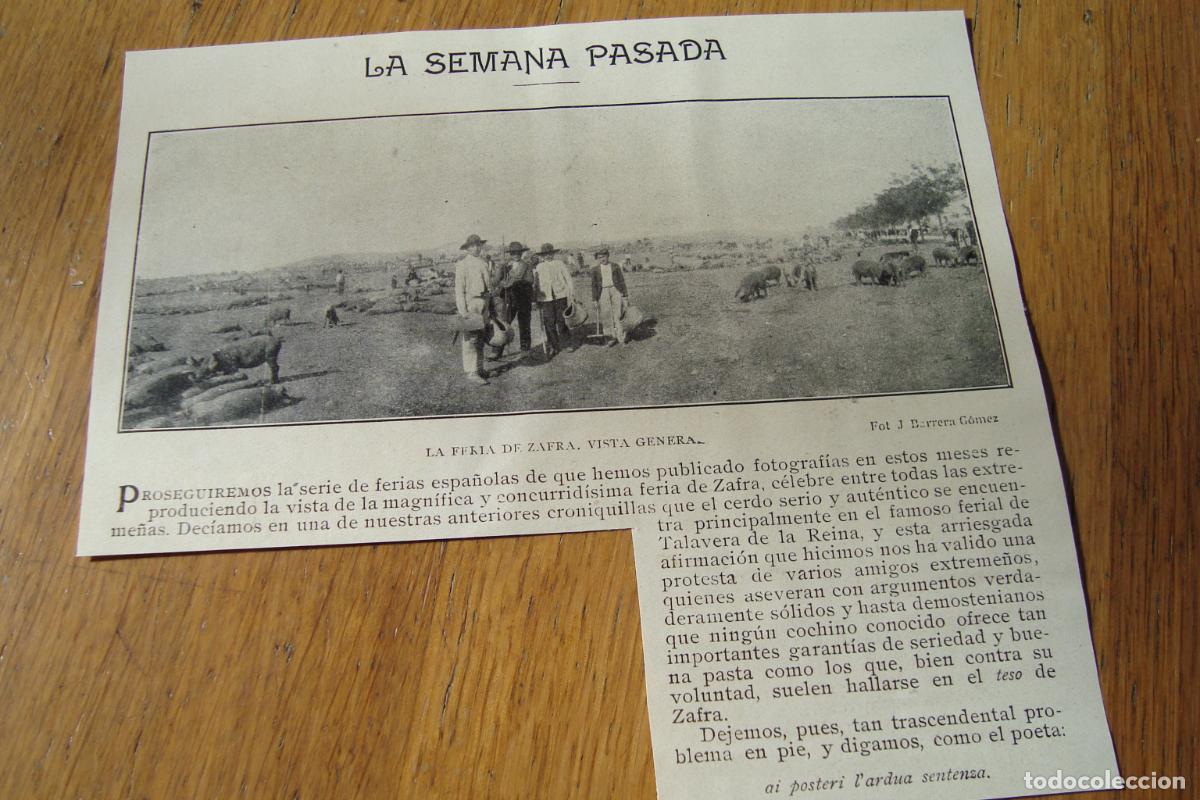 Catalogues publicitaires: ANTIGUO RECORTE PRENSA FERIA GANADO ZAFRA BADAJOZ. FOTO BARRERA GOMEZ. PPIOS DEL XX.