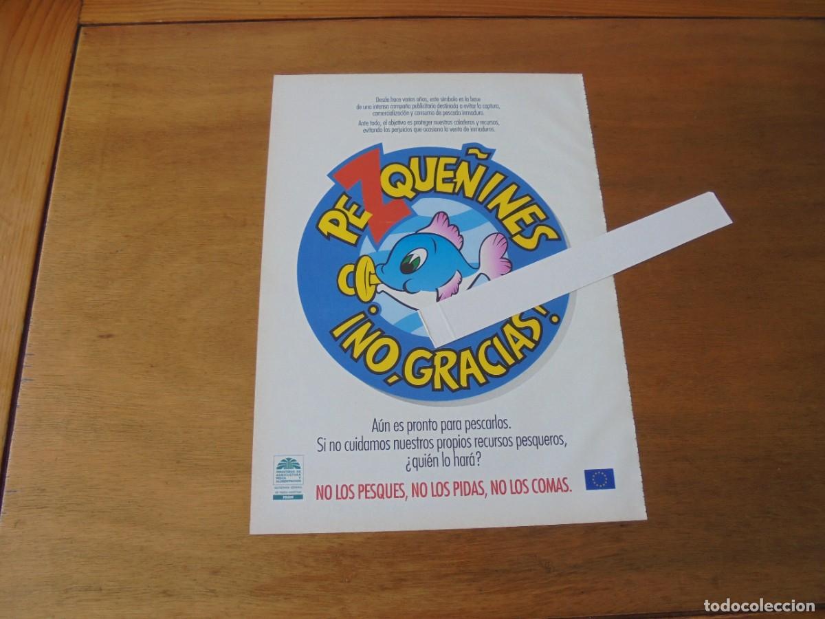 Cataloghi pubblicitari: PUBLICIDAD 1994: PEZQUE&Ntilde;INES NO, GRACIAS.