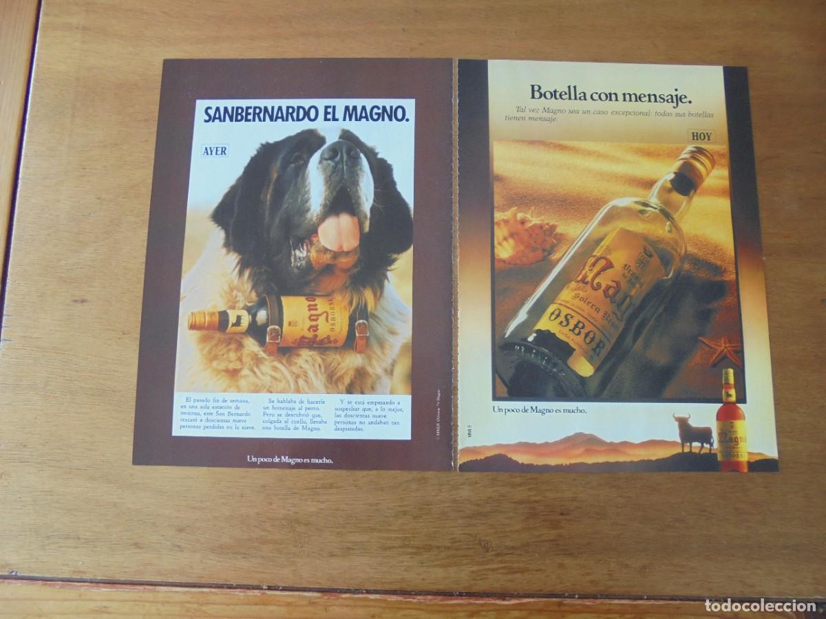 Advertising Catalogs: PUBLICIDAD 1991: BRANDY MAGNO. AYER Y HOY.