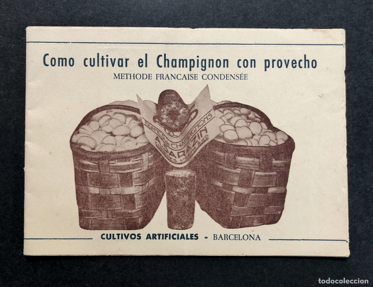 Werbekataloge: COMO CULTIVAR EL CHAMPIGNON / 14 PÁGINAS