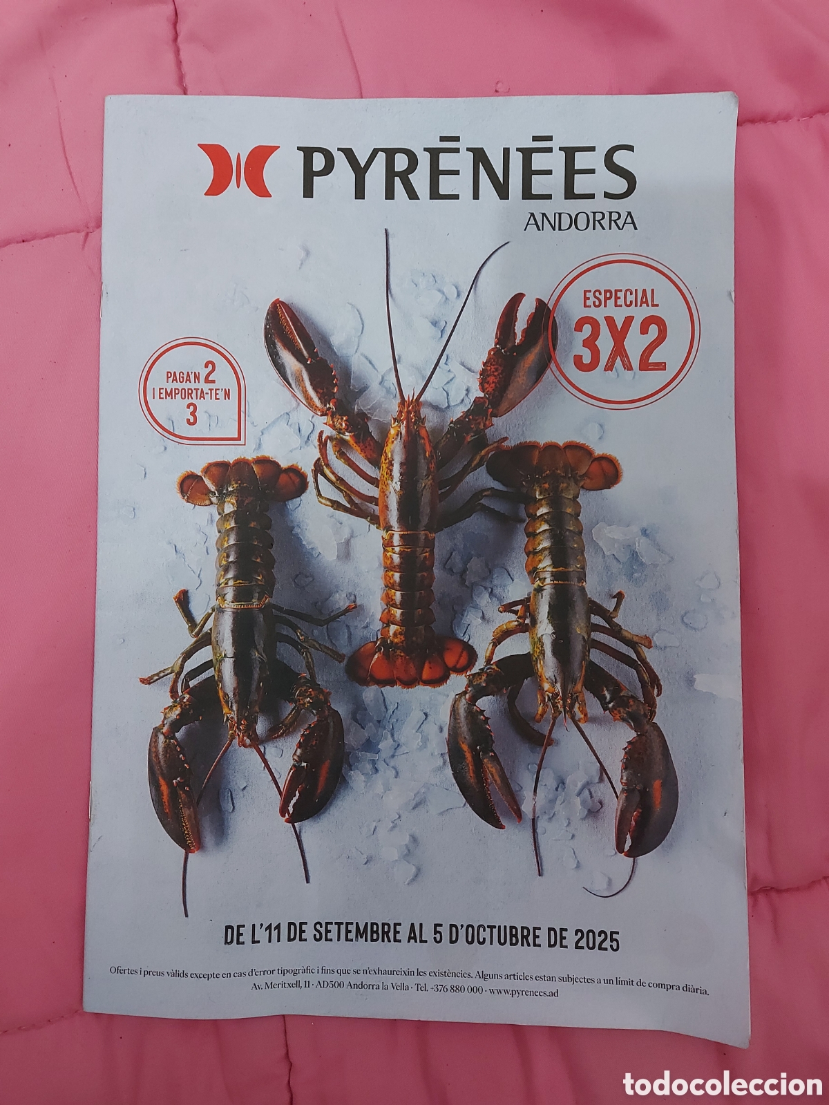 Cat&aacute;logos publicitarios: CATALOGO PIRENEES a&ntilde;o 2025 - Foto 1