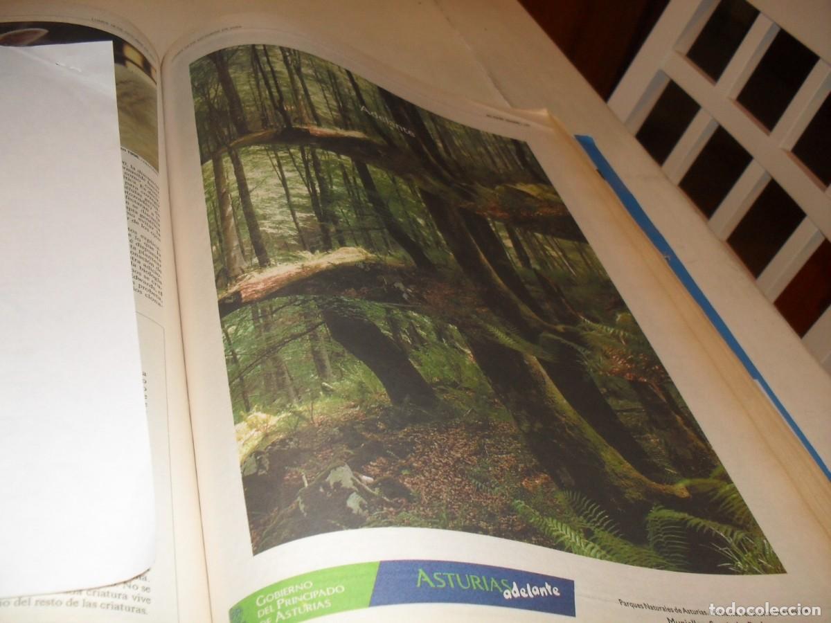 Cat&aacute;logos publicit&aacute;rios: BELLA LAMINA PUBLICITARIA,FORMATO PERIODICO:GOBIERNO DEL PRINCIPADO DE ASTURIAS,EL PAIS,2004