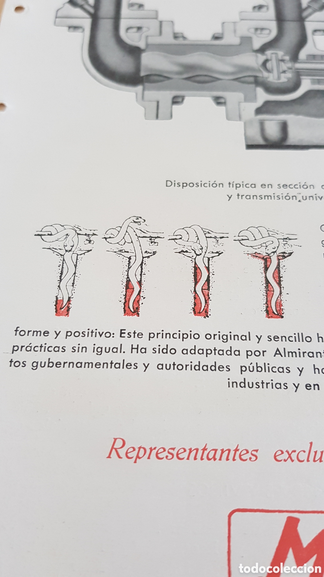 Cat&aacute;logos publicitarios: LA BOMBA MONO MACMOR S.A - Foto 4