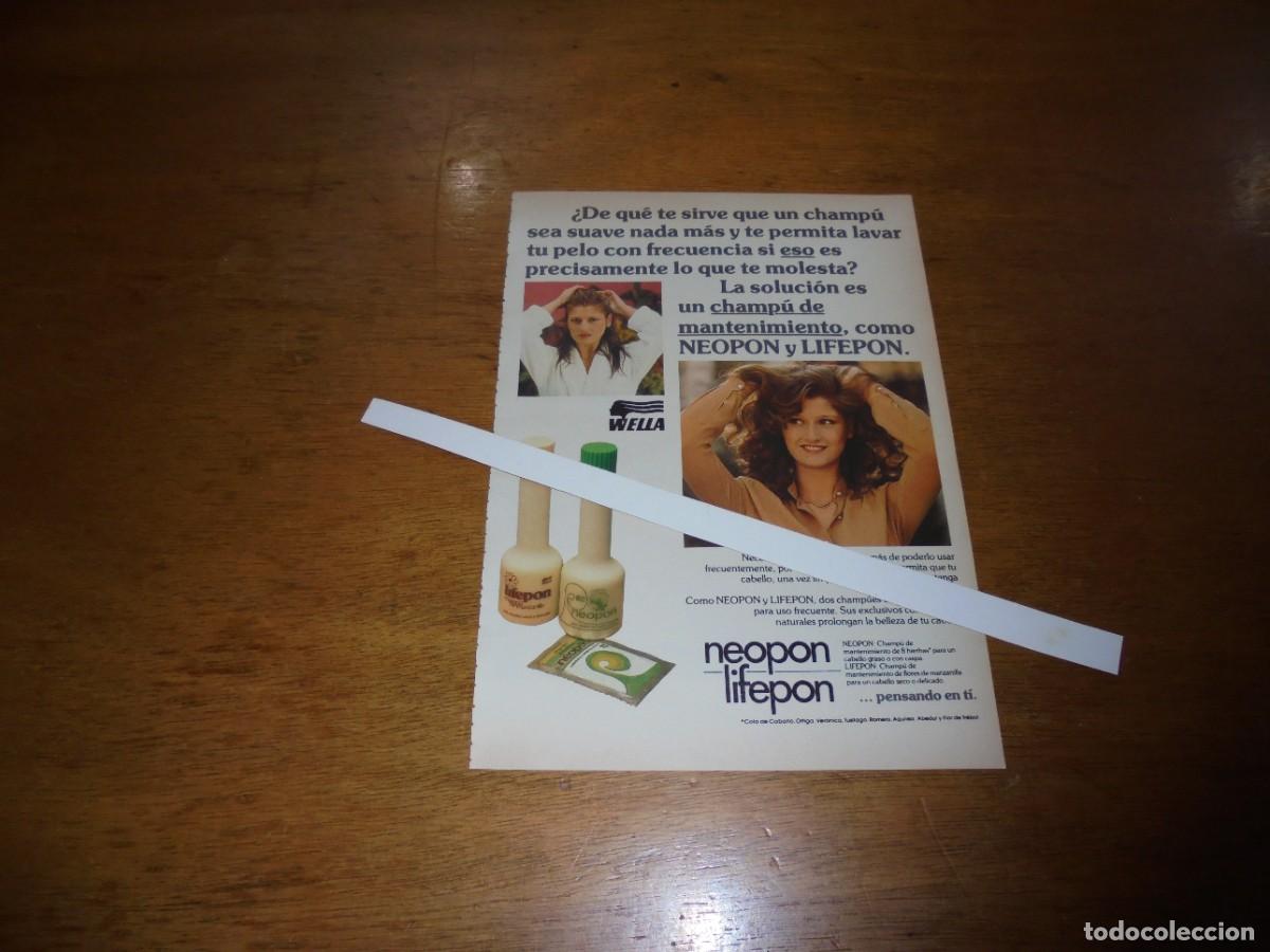 Cat&aacute;logos publicitarios: PUBLICIDAD 1981: CHAMP&Uacute; NEOPON Y LIFEPON