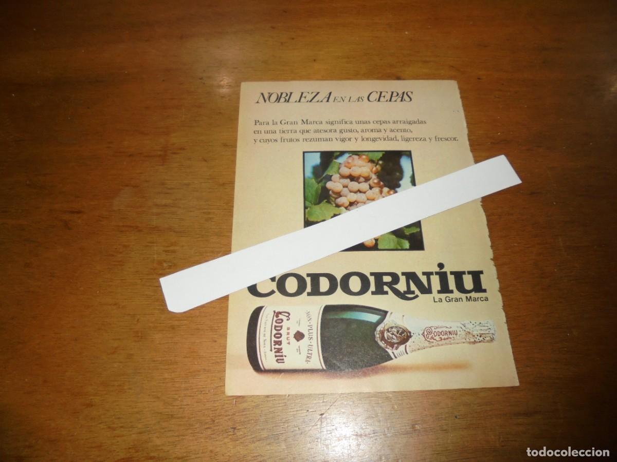 Cat&aacute;logos publicitarios: PUBLICIDAD 1976: CODORNI&Uacute;, LA GRAN MARCA. - Foto 1