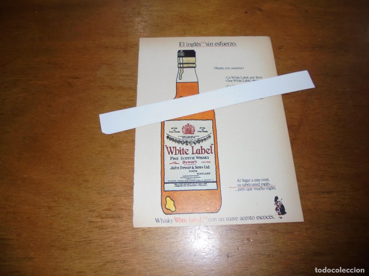Cat&aacute;logos publicitarios: PUBLICIDAD 1977: WHISKY WHITE LABEL