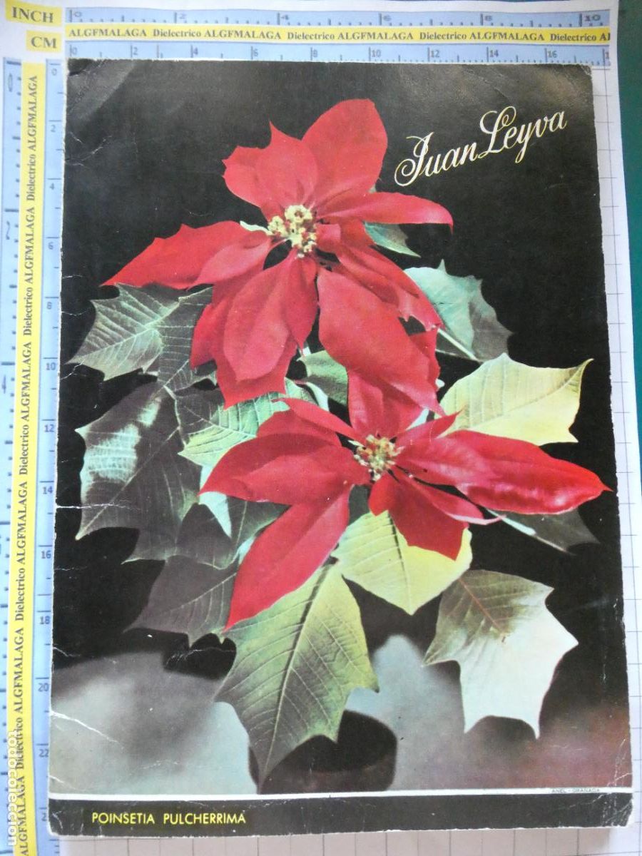 Cat&aacute;logos publicitarios: LIBRO CAT&Aacute;LOGO 1966 1967. JUAN LEYVA. CULTIVOS HORTICULTURA GRANADA JARDINERIA FLORES 160GR