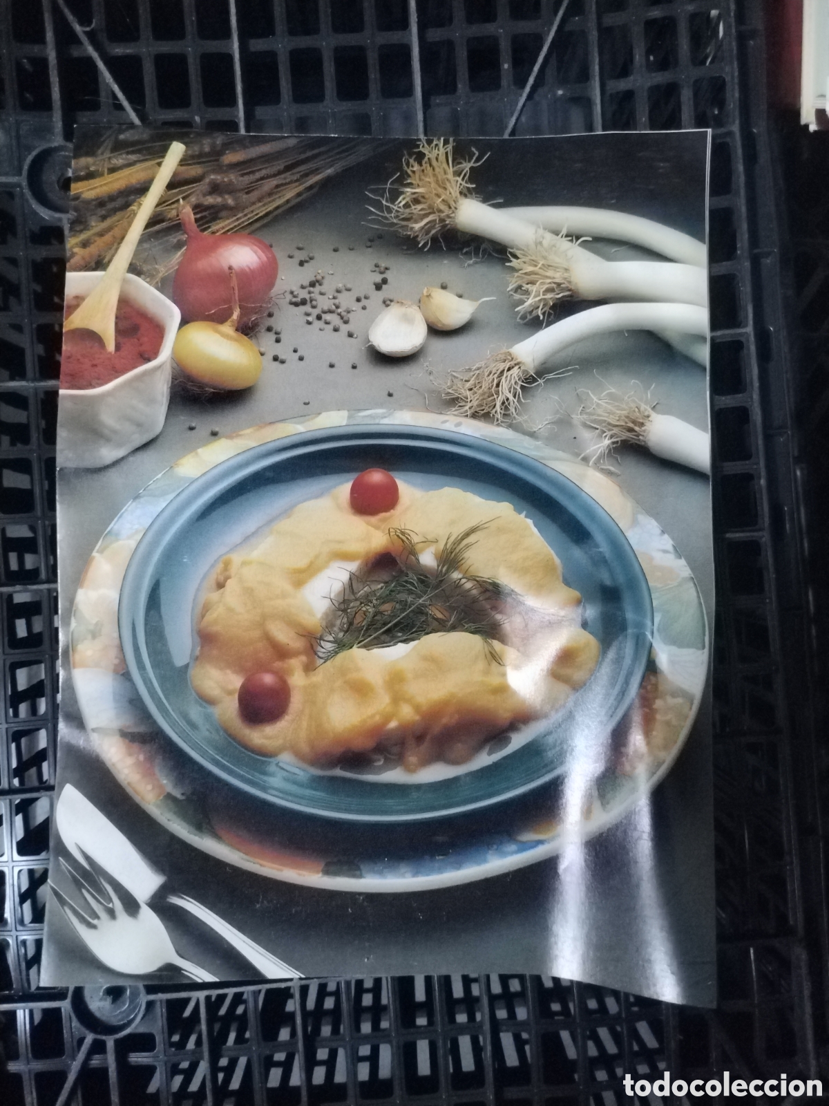 Cat&aacute;logos publicitarios: CATALOGO ENCICLOPEDIA COCINA