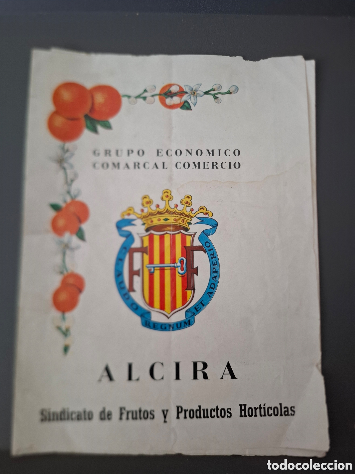 Cat&aacute;logos publicitarios: Alcira - Sindicato de frutos y productos hort&iacute;colas - 1967