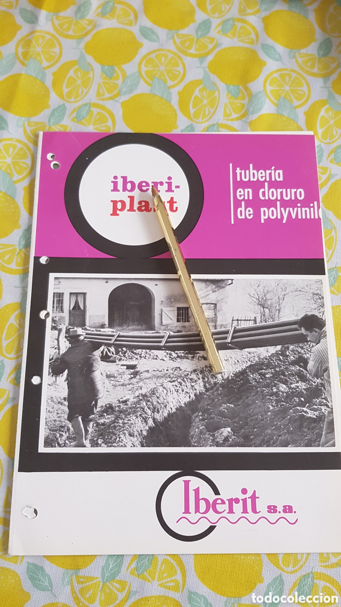 Cat&aacute;logos publicitarios: Folleto tuber&iacute;as en cloruro de polyvinilo