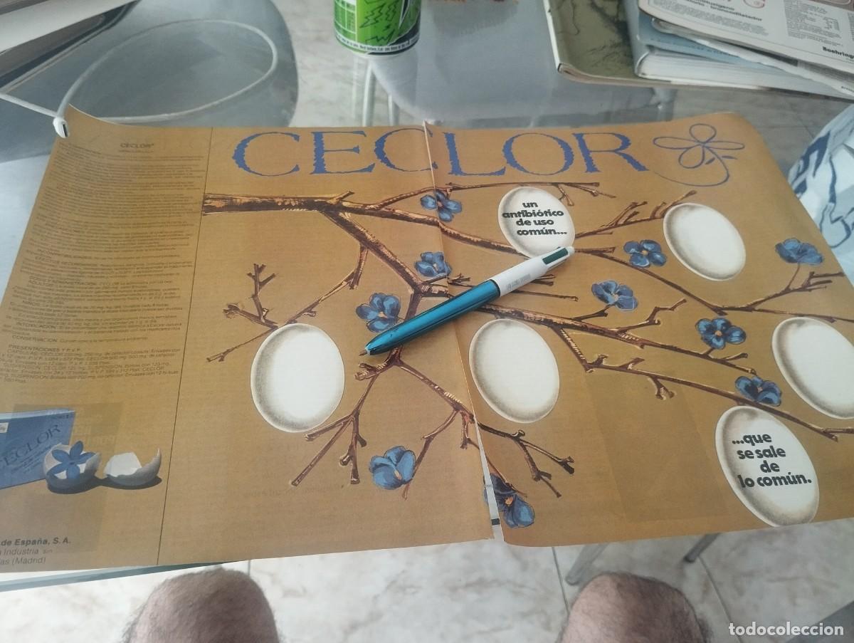 Cat&aacute;logos publicitarios: MEDICAMENTO ANTIBIOTICO CECLOR ANUNCIO PUBLICIDAD REVISTA 1980 BONITO PARA ENMARCAR