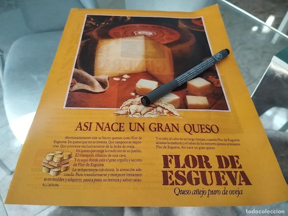 Cat&aacute;logos publicitarios: QUESO FLOR DE ESGUEVA ANUNCIO PUBLICIDAD REVISTA 1991 BONITO PARA ENMARCAR