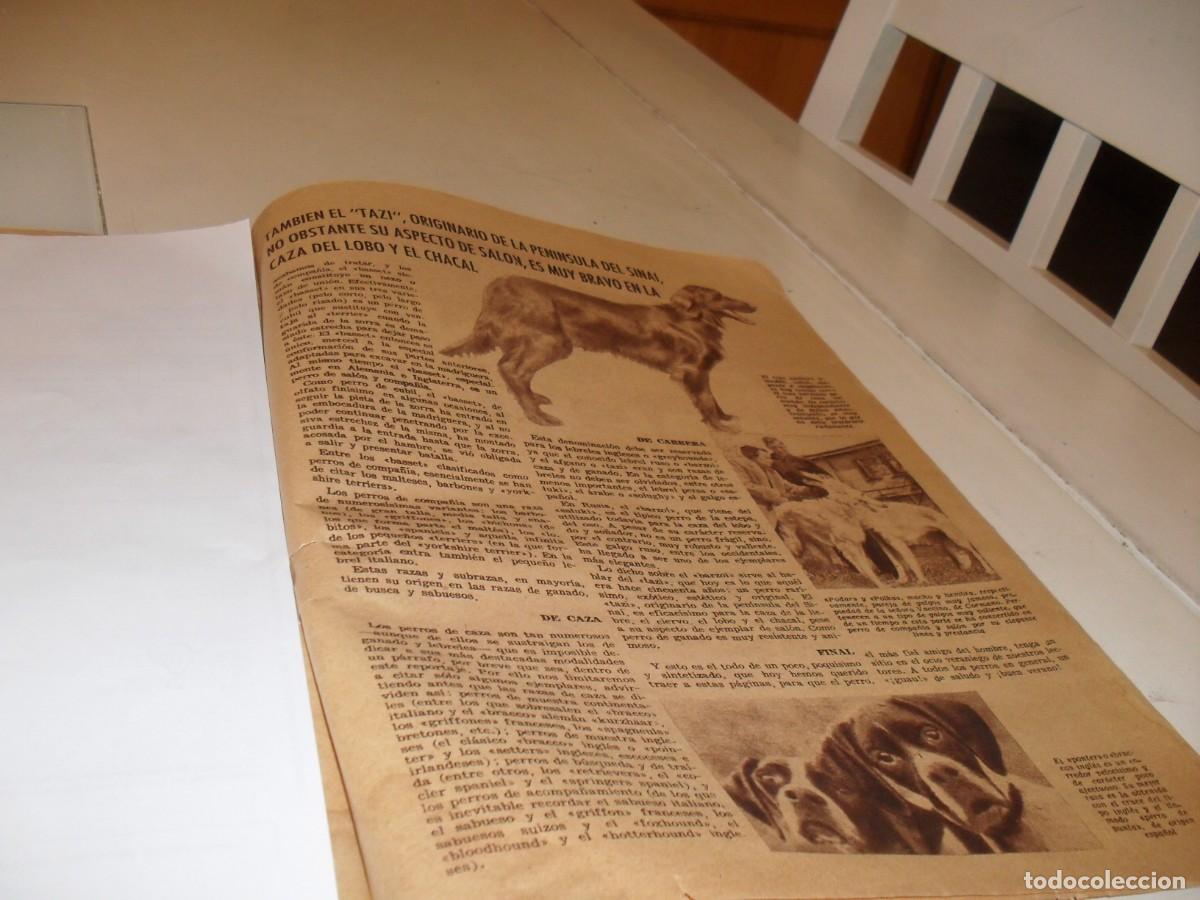 Cat&aacute;logos publicitarios: (REF 93),BELLA LAMINA PUBLICITARIA LA CASERA+ARTICULO PERRO TAZI,EDITADO EN 1957