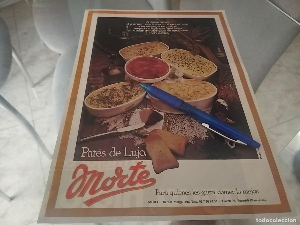 Cat&aacute;logos publicitarios: PATES NORTE CLIPPING ANUNCIO PUBLICIDAD REVISTA 1981
