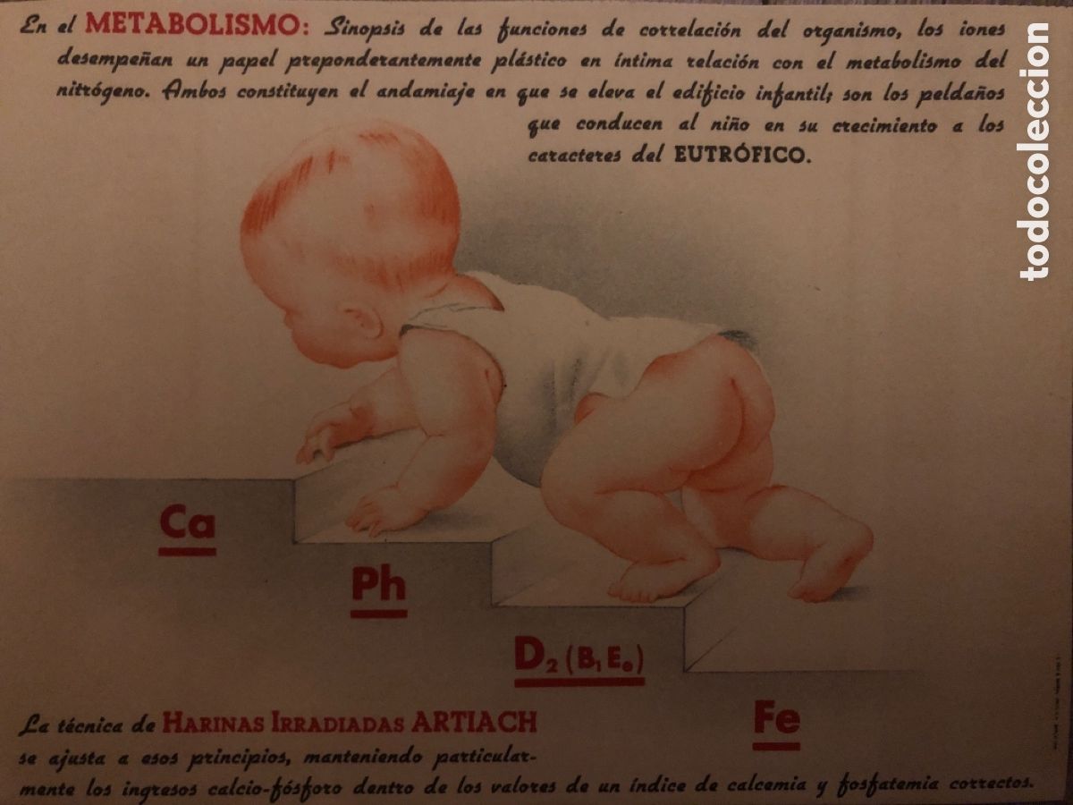 Cat&aacute;logos publicitarios: L&aacute;mina publicitaria a&ntilde;os 1940