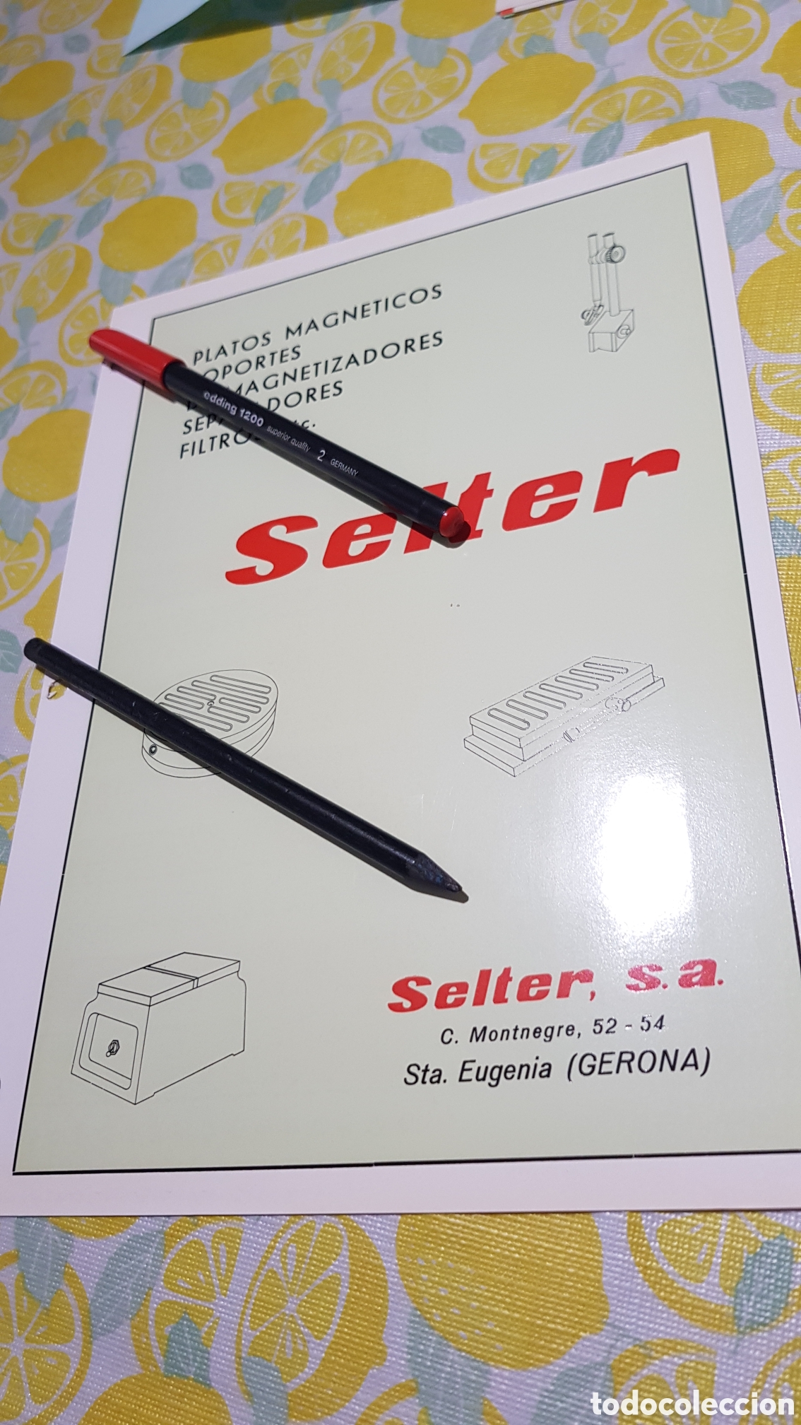 Cat&aacute;logos publicitarios: Platos magn&eacute;ticos Selter S.A