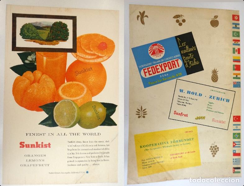 Advertising Catalogs: Recorte publicitario de frutas, a&ntilde;os 50 mide 20X30 cm